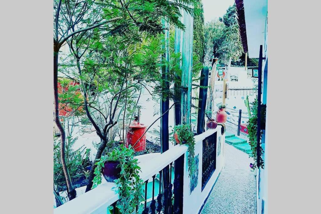Gran Canaria La Finca De Carmelita Y Bartolito Лас-Пальмас-де-Гран-Канарія Екстер'єр фото